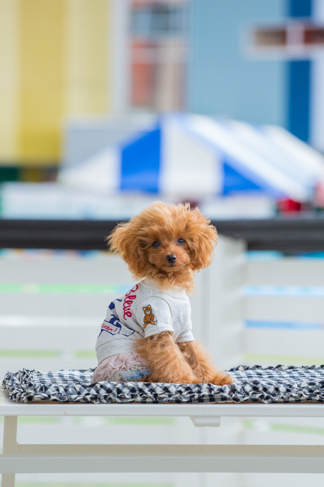 as know as de wan ＮダンガリーＭＩＸＳＨ as know as de wan NダンガリーMIXSH - メルカリ